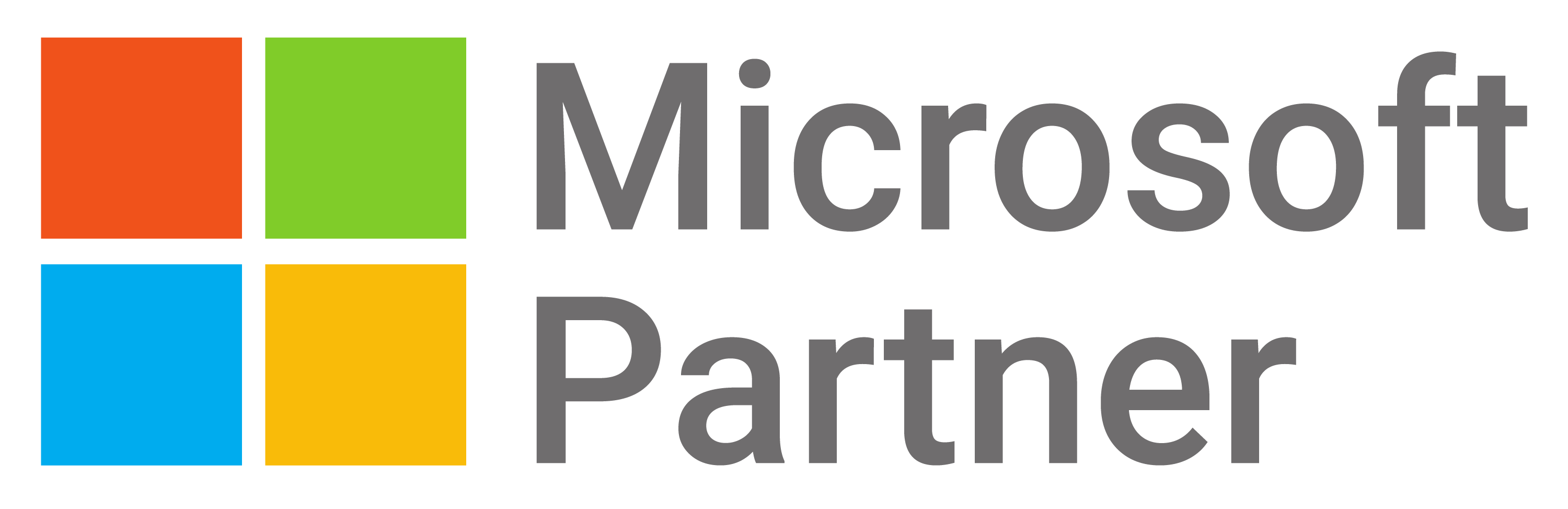 Microsoft Partner